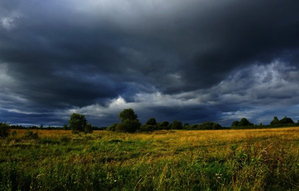 Природа перед грозой