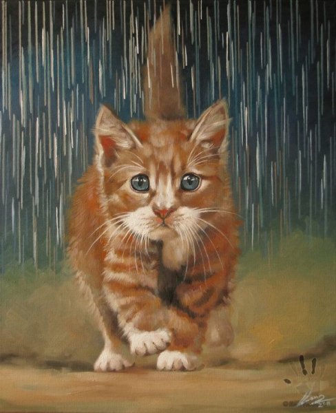Рыжий котенок под дождем