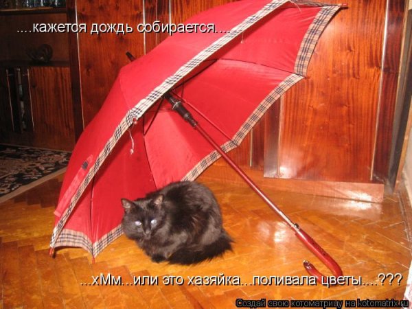 Кажется дождь собирается картинки