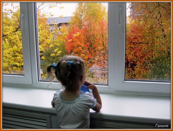 Пластиковое окно осень