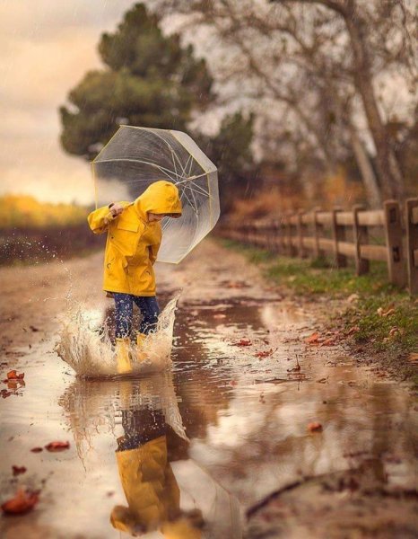 Счастливой осени