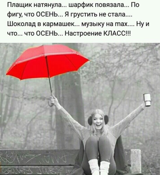 Зонт афоризмы
