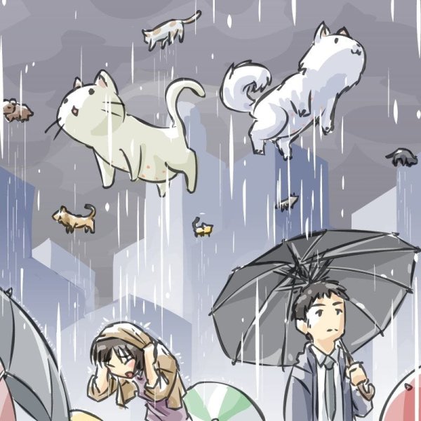 Rain Cats and Dogs идиомы