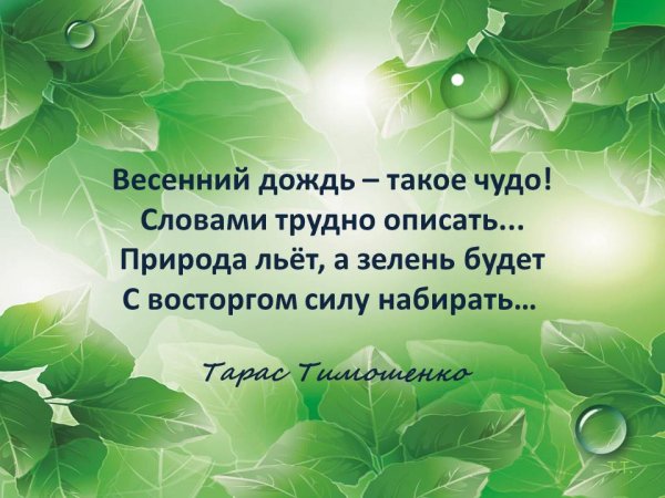 Стих весенний дождь