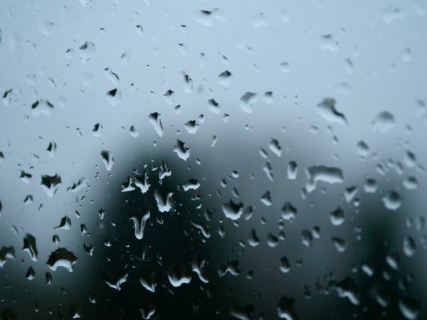 Капли дождя