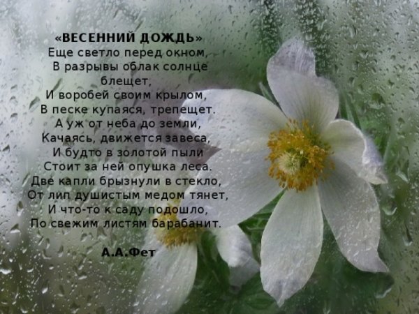 Стихи о весеннем Дожде красивые