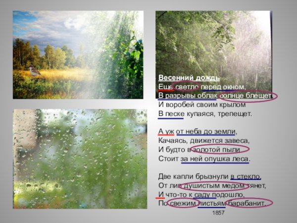 Афанасий Афанасьевич Фет весенний дождь