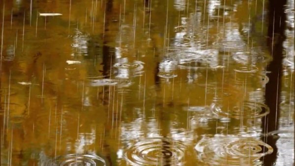 Ласковый дождик