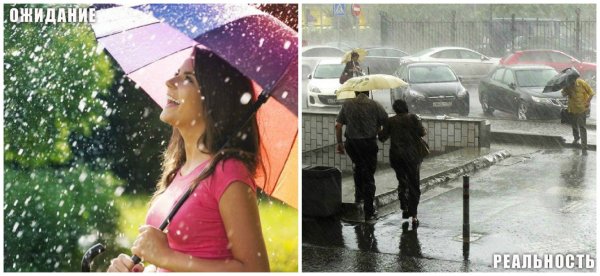 Дождливое лето прикольные