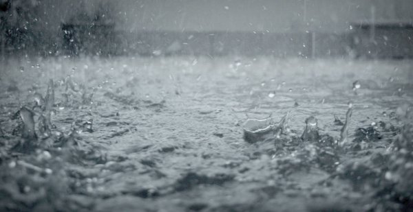 Дождливый холод