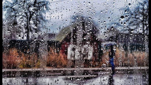 Холодно и дождливо