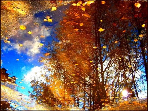 Поздняя осень солнце