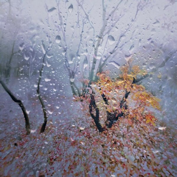 Поздняя дождливая осень