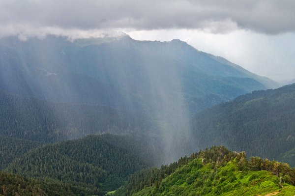 Дождь в горах