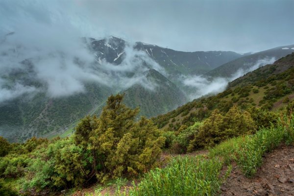 Дожди в горах Грузии