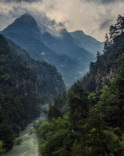 Горы лес дождь