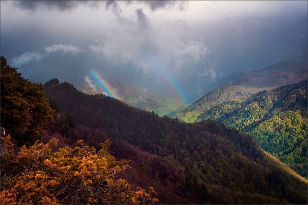 Дождь в горах Кавказа