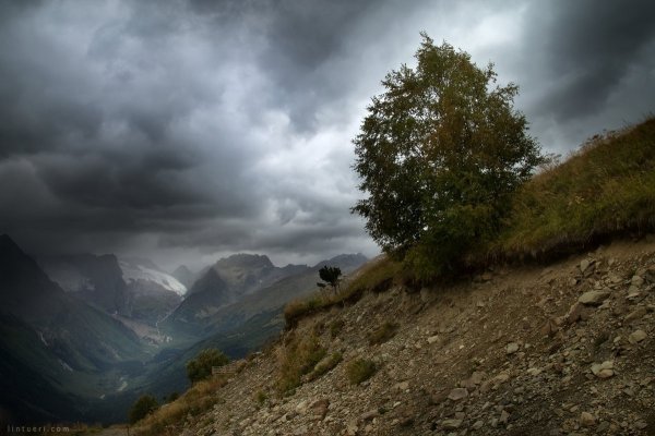 Пасмурный день