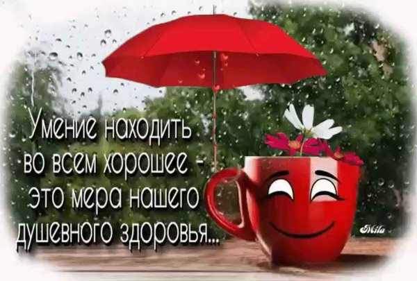 Доброе утро несмотря на дождь
