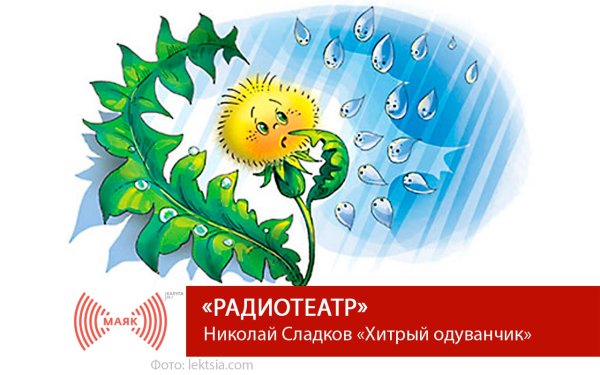 Николай Сладков одуванчик и дождь
