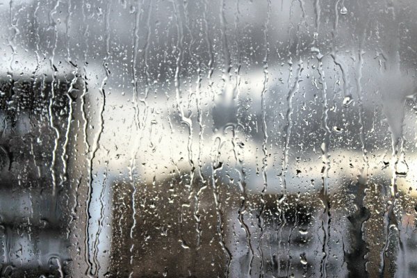 Дождливое окно