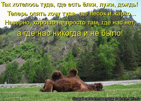 Дождь достал