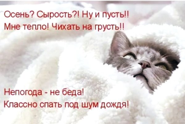 Спать в дождь