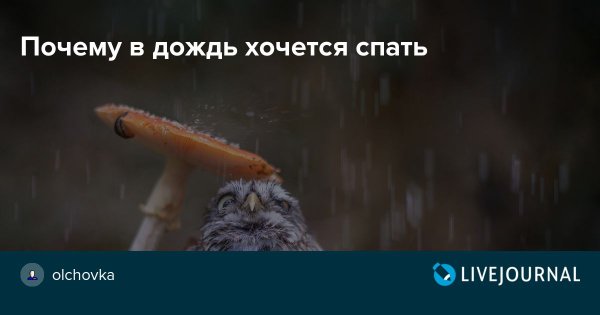 В дождливую погоду хочется