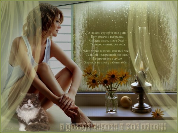 Дождик за окном стих