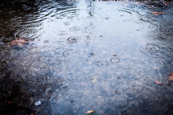Дождь на асфальте