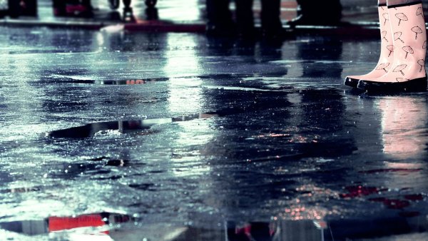 Дождь на асфальте