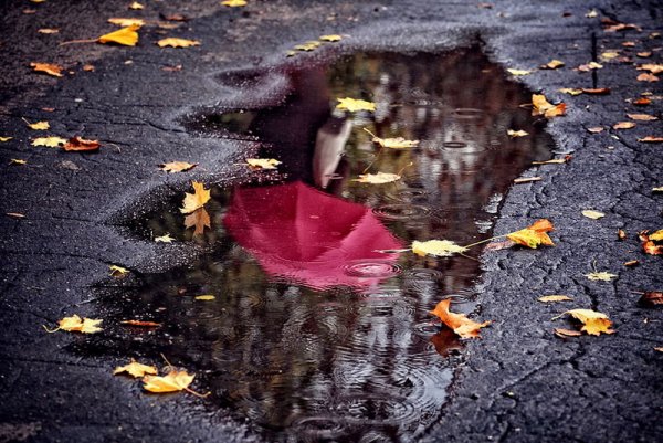 Осеннее отражение в лужах