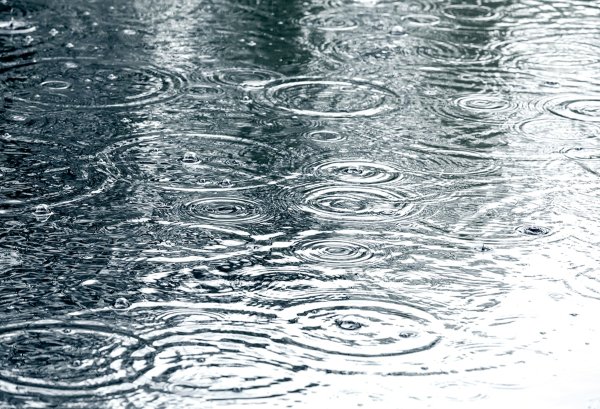 Брызги дождя