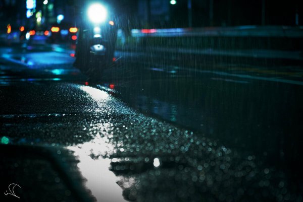 Ночная дождливая дорога