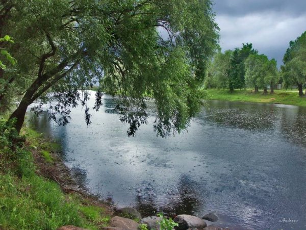 Дождь на реке