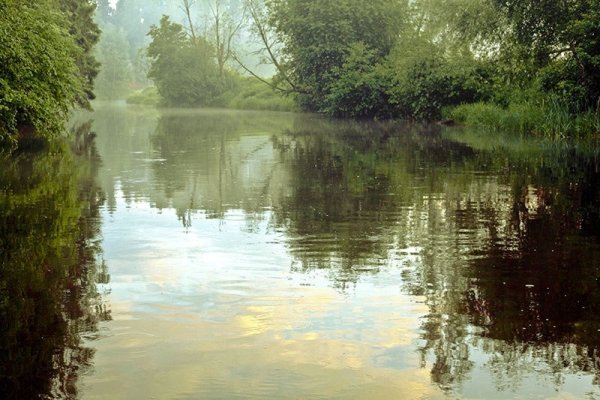Лето дождь река