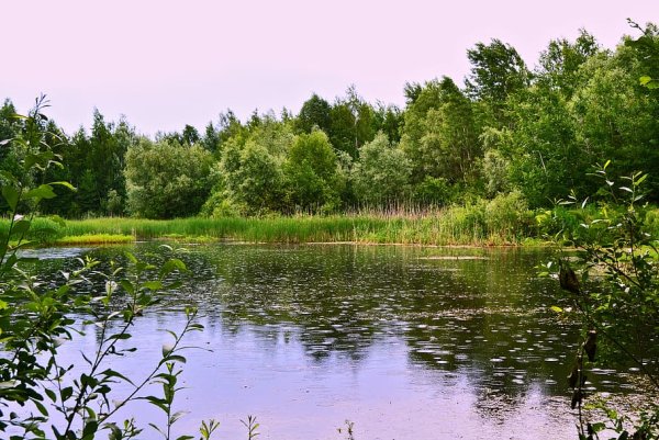 Летний дождь на реке