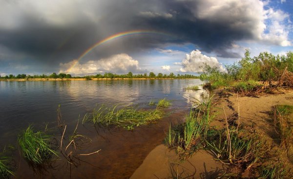Природа после грозы