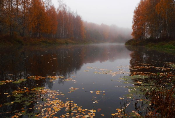 Река осенью