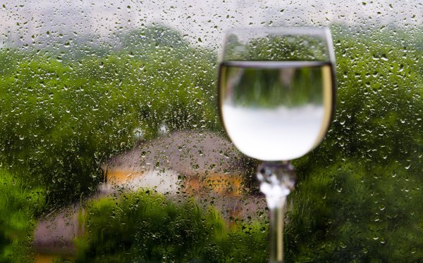 Фужер дождик