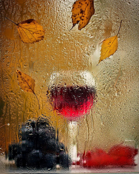 Дождь осень и вино