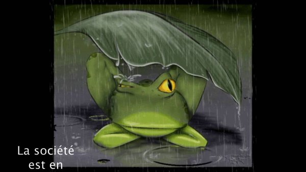 Лягушка под дождем