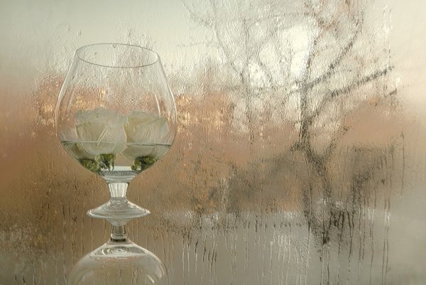 Дождь и вино