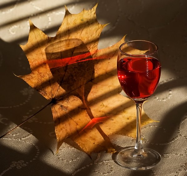 Бокал вина осень