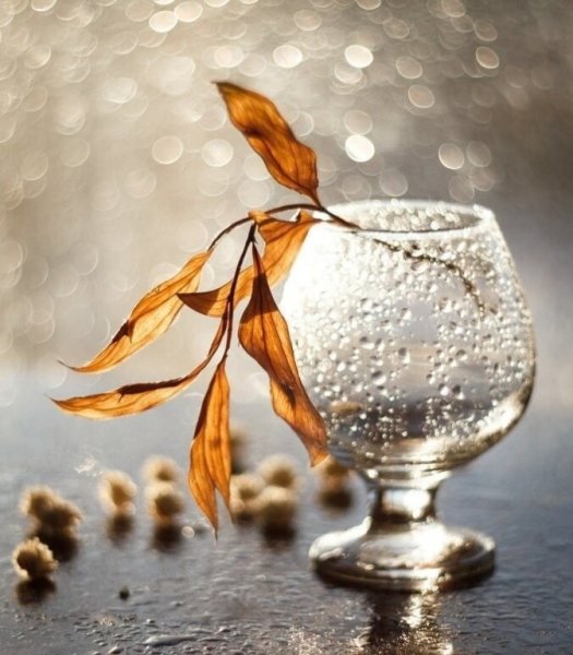 Осень в бокале