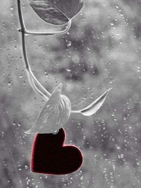 Окно в сердце