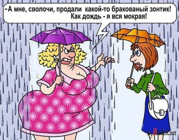 Анекдот про дождь