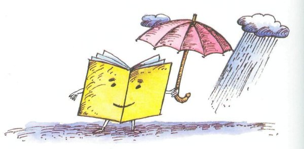 Книга под дождем