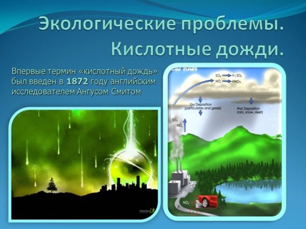 Кислотные дожди презентация