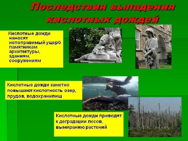 Последствия кислотных дождей